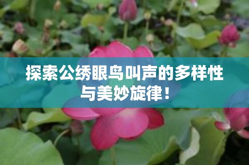 探索公绣眼鸟叫声的多样性与美妙旋律！