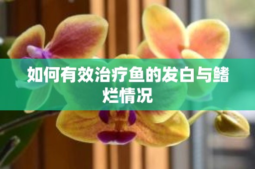 如何有效治疗鱼的发白与鳍烂情况