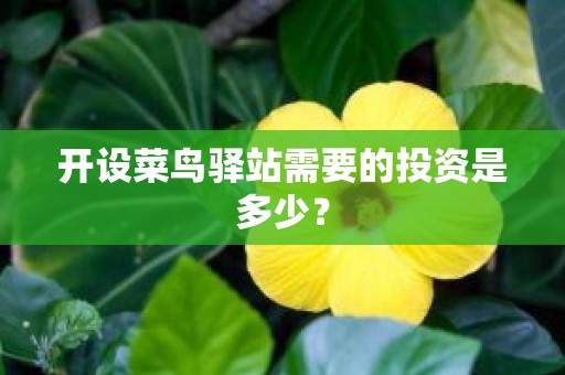 开设菜鸟驿站需要的投资是多少？