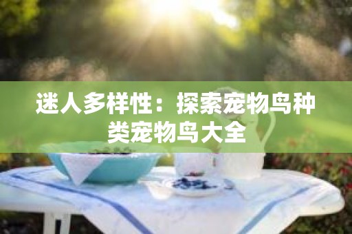 迷人多样性：探索宠物鸟种类宠物鸟大全