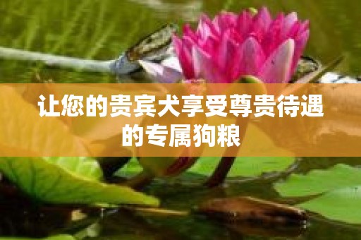 让您的贵宾犬享受尊贵待遇的专属狗粮