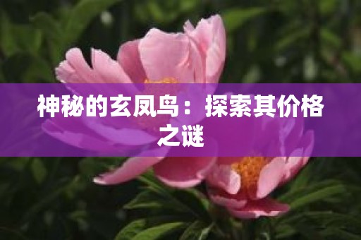 神秘的玄凤鸟：探索其价格之谜