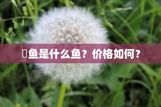 鮰鱼是什么鱼？价格如何？