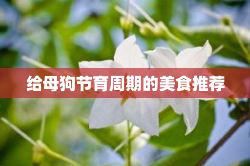 给母狗节育周期的美食推荐