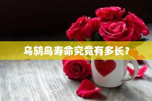 乌鸫鸟寿命究竟有多长？