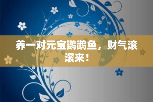 养一对元宝鹦鹉鱼，财气滚滚来！