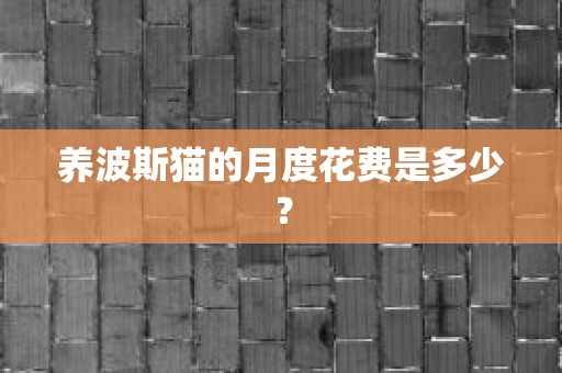 养波斯猫的月度花费是多少？