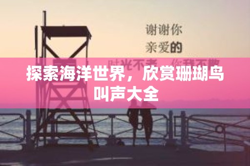 探索海洋世界，欣赏珊瑚鸟叫声大全