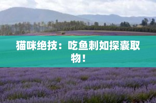 猫咪绝技：吃鱼刺如探囊取物！