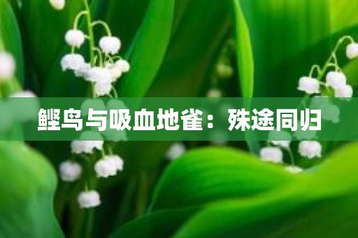 鲣鸟与吸血地雀：殊途同归
