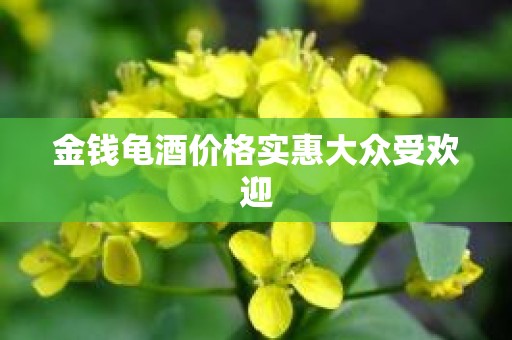 金钱龟酒价格实惠大众受欢迎
