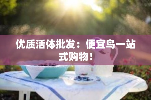 优质活体批发：便宜鸟一站式购物！