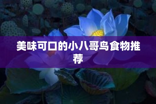 美味可口的小八哥鸟食物推荐