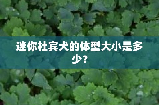 迷你杜宾犬的体型大小是多少？