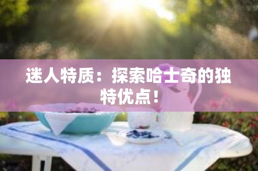 迷人特质：探索哈士奇的独特优点！