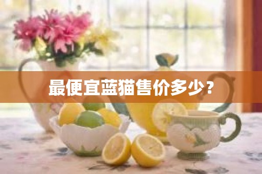最便宜蓝猫售价多少？