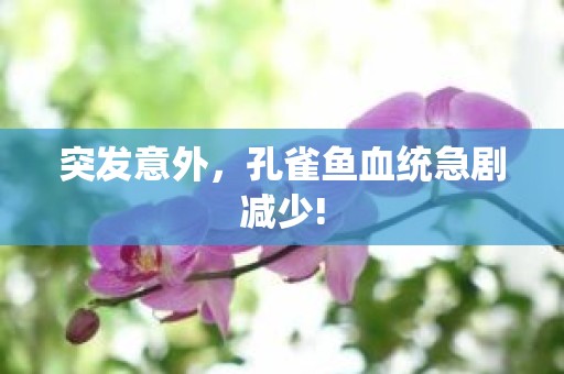 突发意外，孔雀鱼血统急剧减少!