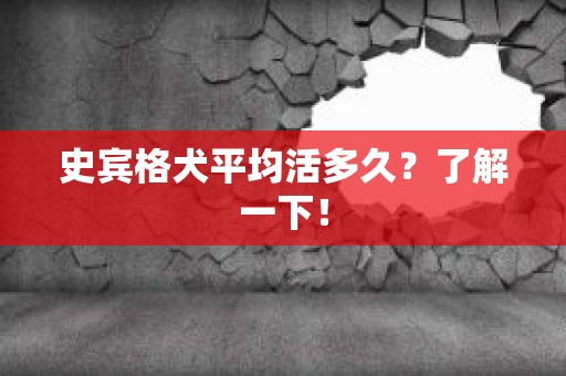 史宾格犬平均活多久？了解一下！