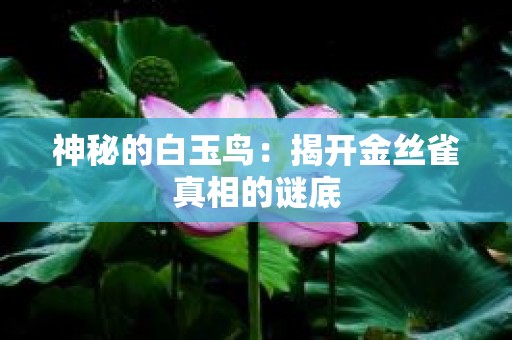 神秘的白玉鸟：揭开金丝雀真相的谜底