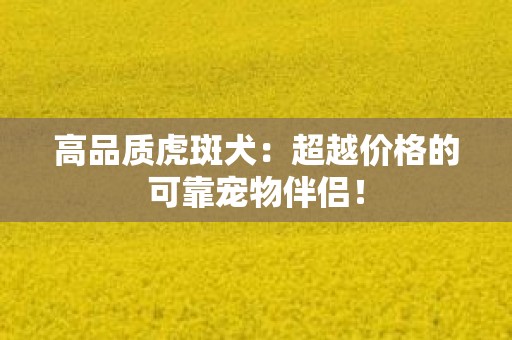 高品质虎斑犬：超越价格的可靠宠物伴侣！