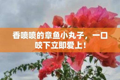 香喷喷的章鱼小丸子，一口咬下立即爱上！