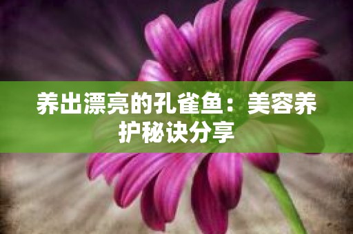 养出漂亮的孔雀鱼：美容养护秘诀分享