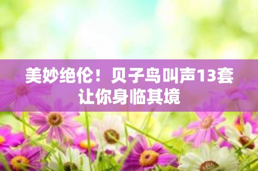美妙绝伦！贝子鸟叫声13套让你身临其境