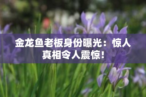 金龙鱼老板身份曝光：惊人真相令人震惊！