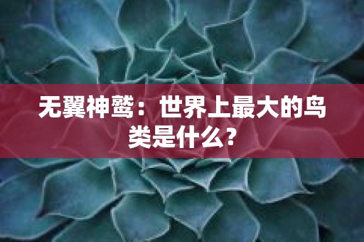 无翼神鹫：世界上最大的鸟类是什么？