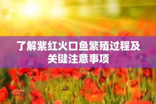 了解紫红火口鱼繁殖过程及关键注意事项