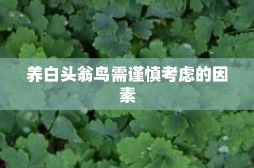 养白头翁鸟需谨慎考虑的因素