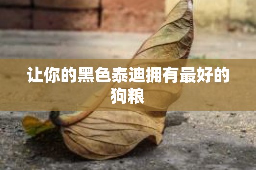 让你的黑色泰迪拥有最好的狗粮