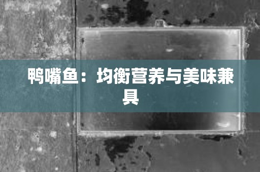 鸭嘴鱼：均衡营养与美味兼具