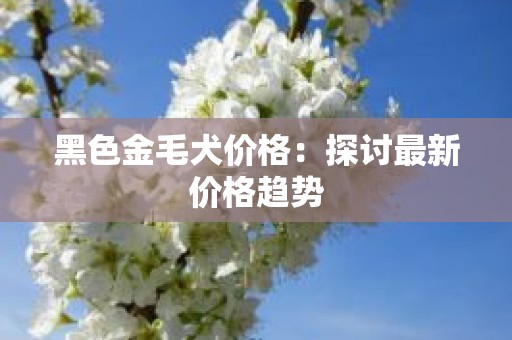 黑色金毛犬价格：探讨最新价格趋势
