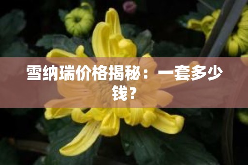 雪纳瑞价格揭秘：一套多少钱？