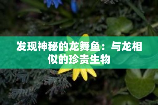 发现神秘的龙舞鱼：与龙相似的珍贵生物