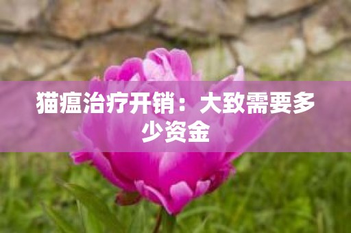 猫瘟治疗开销：大致需要多少资金