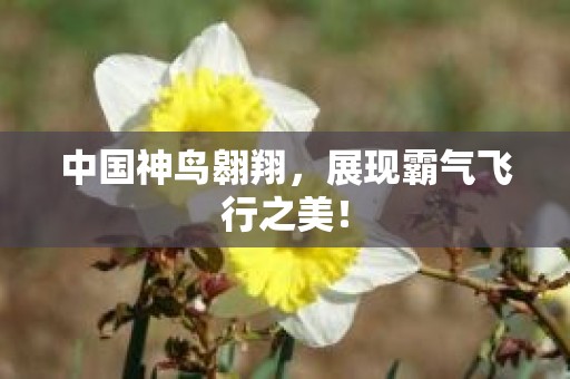 中国神鸟翱翔，展现霸气飞行之美！
