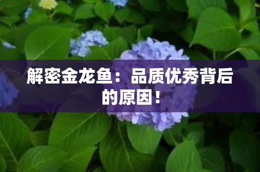 解密金龙鱼：品质优秀背后的原因！
