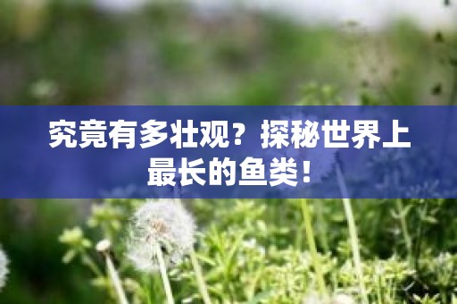 究竟有多壮观？探秘世界上最长的鱼类！