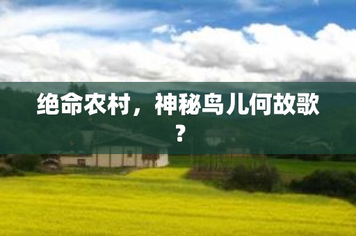 绝命农村，神秘鸟儿何故歌？