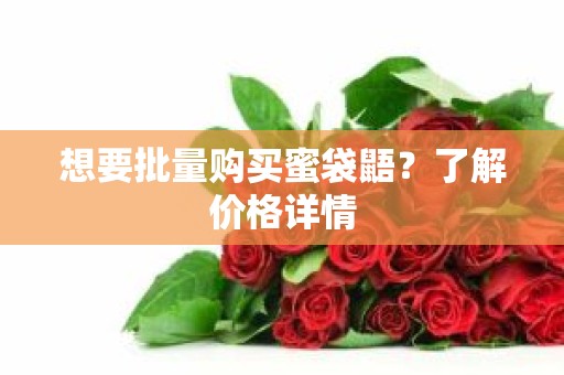 想要批量购买蜜袋鼯？了解价格详情