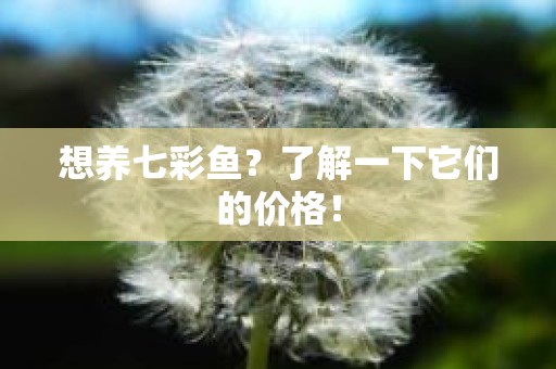 想养七彩鱼？了解一下它们的价格！
