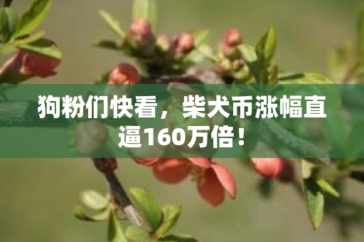 狗粉们快看，柴犬币涨幅直逼160万倍！