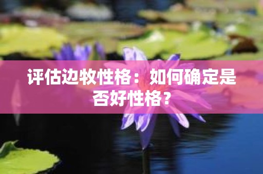 评估边牧性格：如何确定是否好性格？