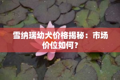 雪纳瑞幼犬价格揭秘：市场价位如何？