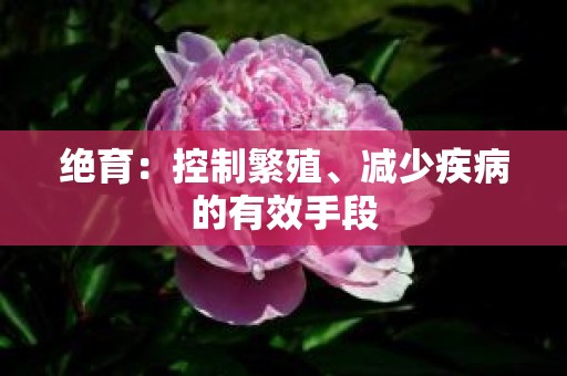 绝育：控制繁殖、减少疾病的有效手段