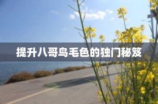 提升八哥鸟毛色的独门秘笈