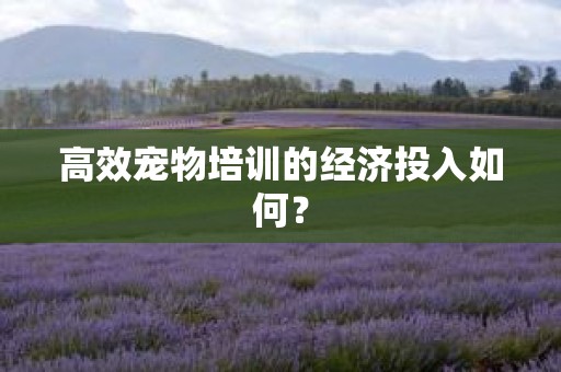 高效宠物培训的经济投入如何？