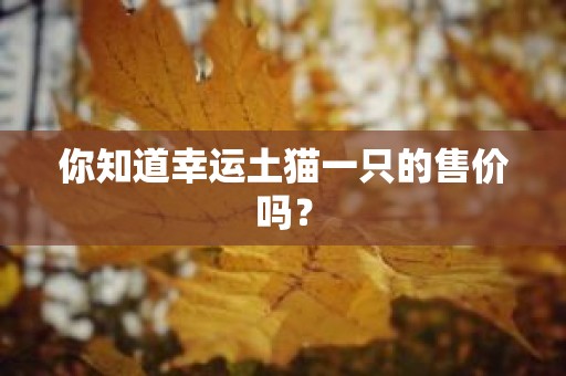 你知道幸运土猫一只的售价吗？